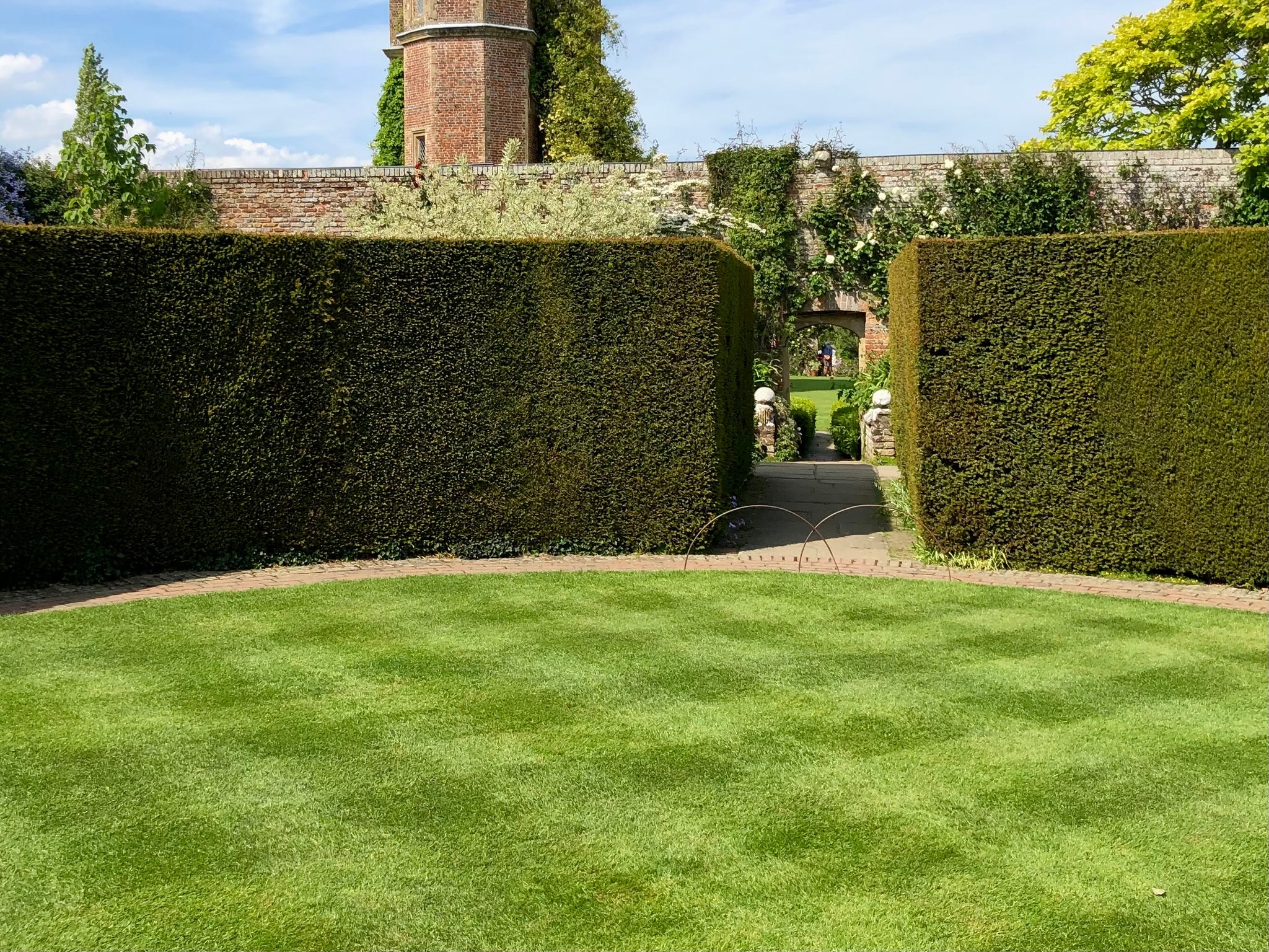 Hedge Trimming