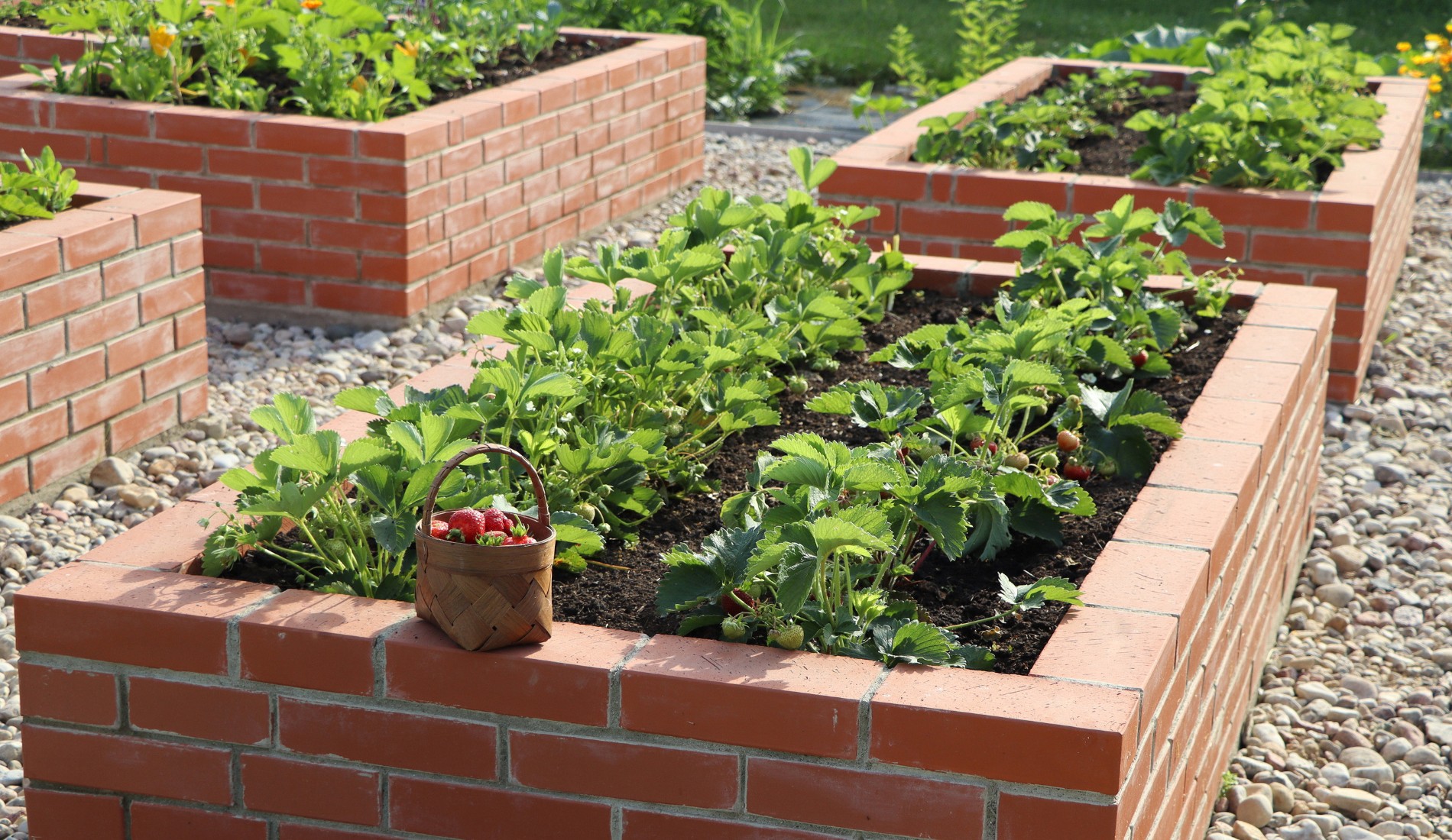 Raised garden beds in brick