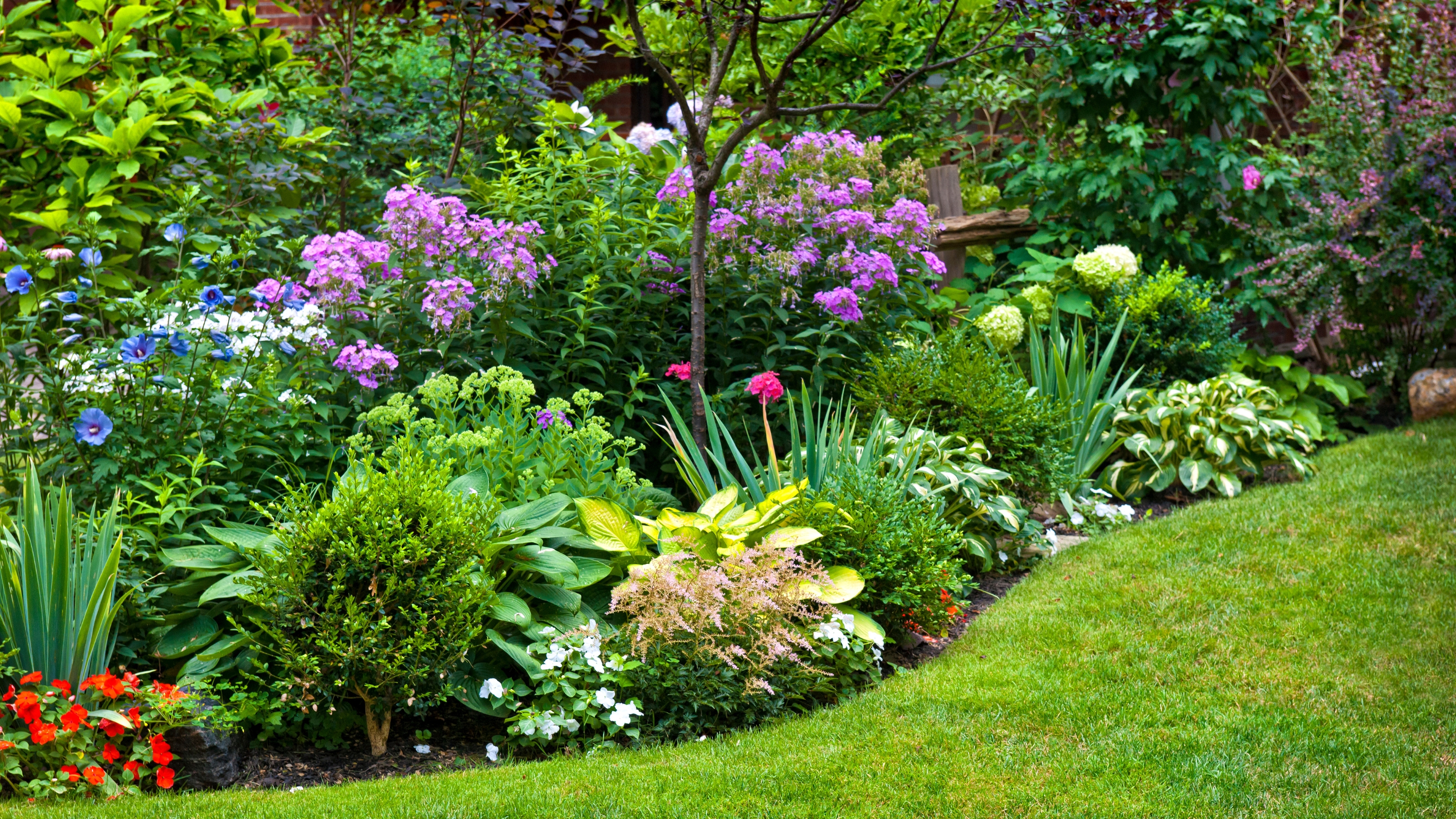 Neatly maintained garden borders and planting