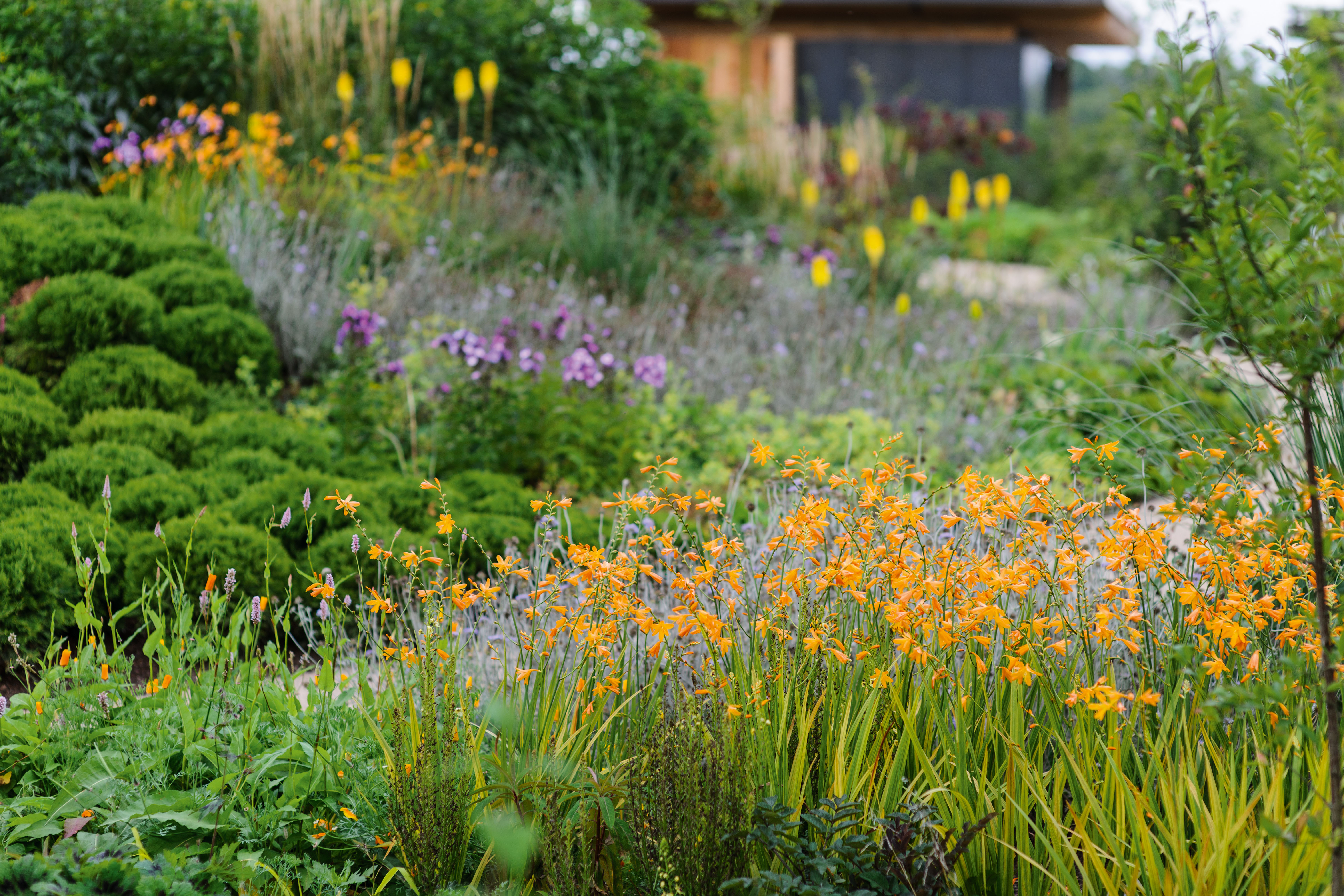 Seasonal garden with mixed planting