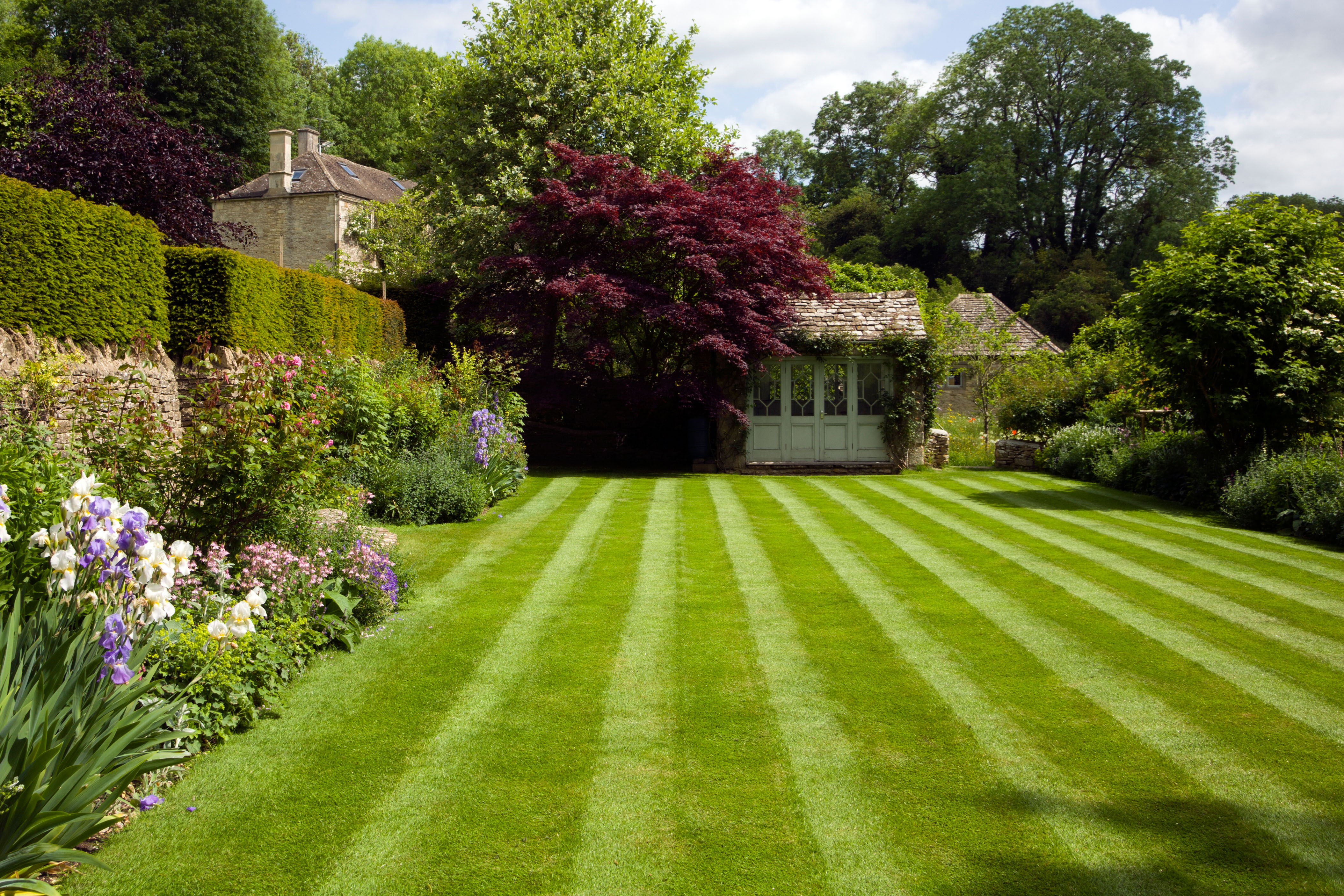 Freshly mowed lawn with professional stripes