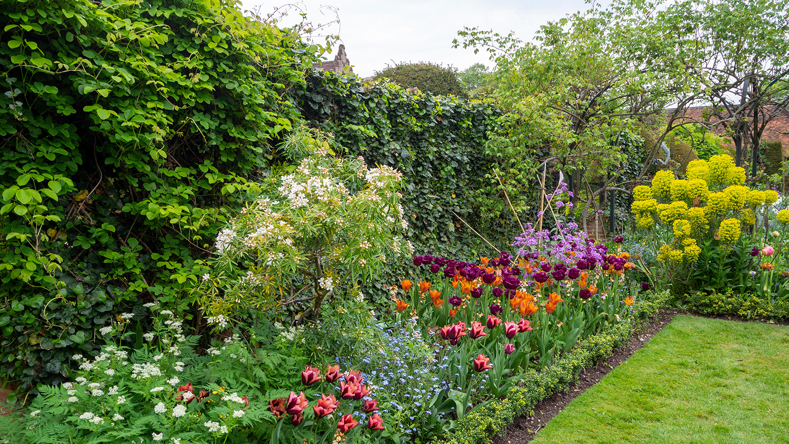 Neatly trimmed garden hedges