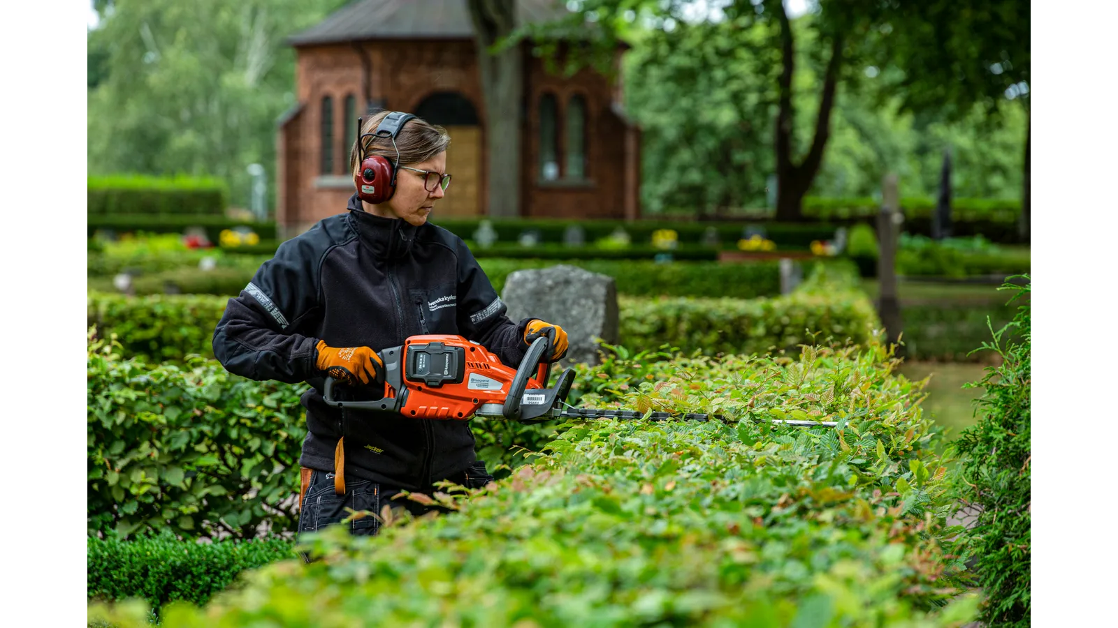 Professional hedge cutting work