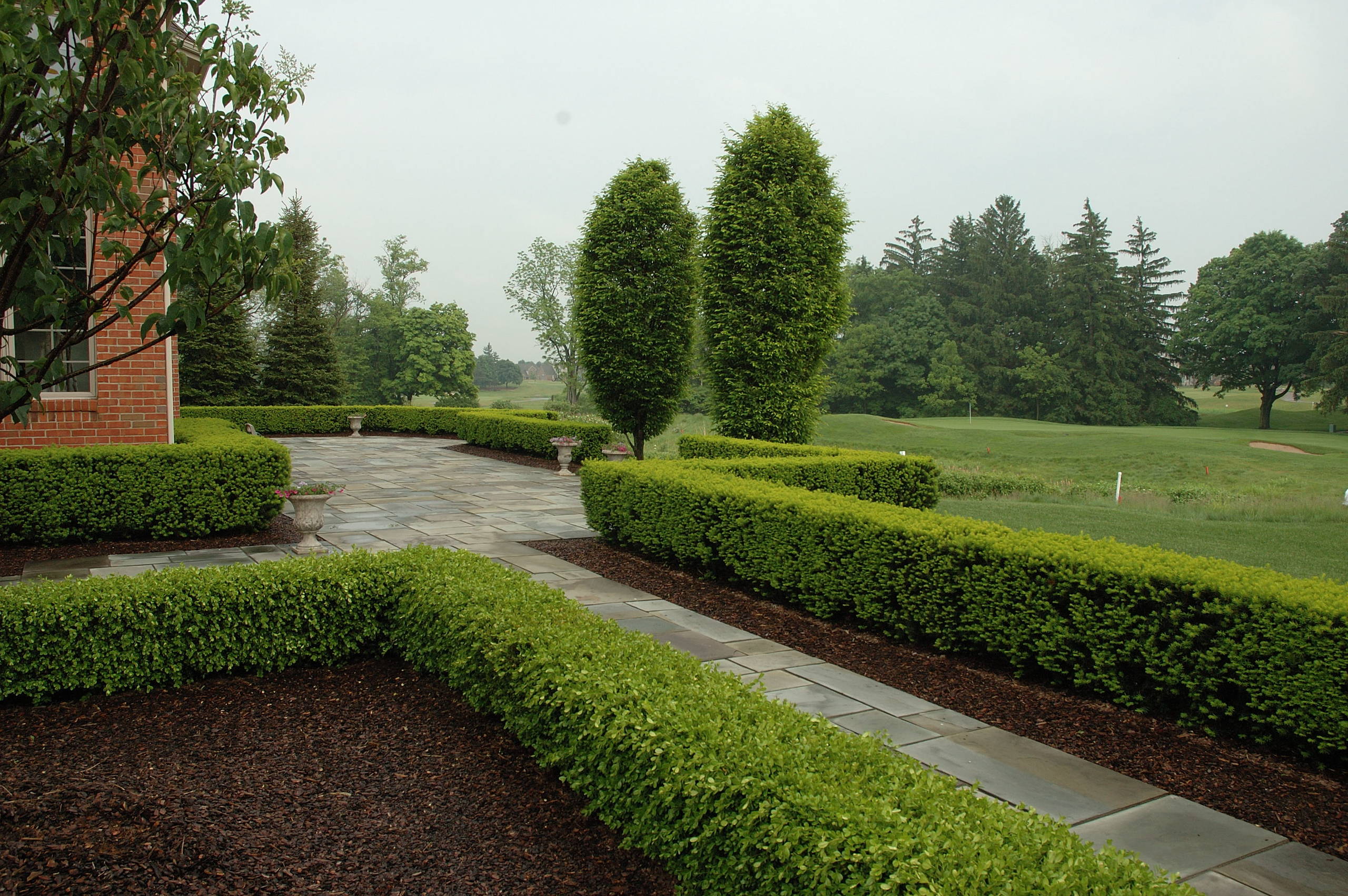 Beautifully shaped box hedges
